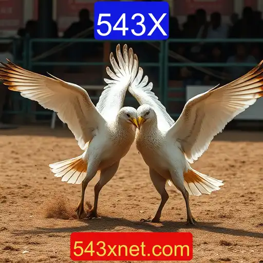 Jogos de Sabong e a Influência do 543X